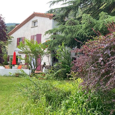 Villa Riviera Chambres dHôtes Amélie-les-Bains-Palalda Exterior foto
