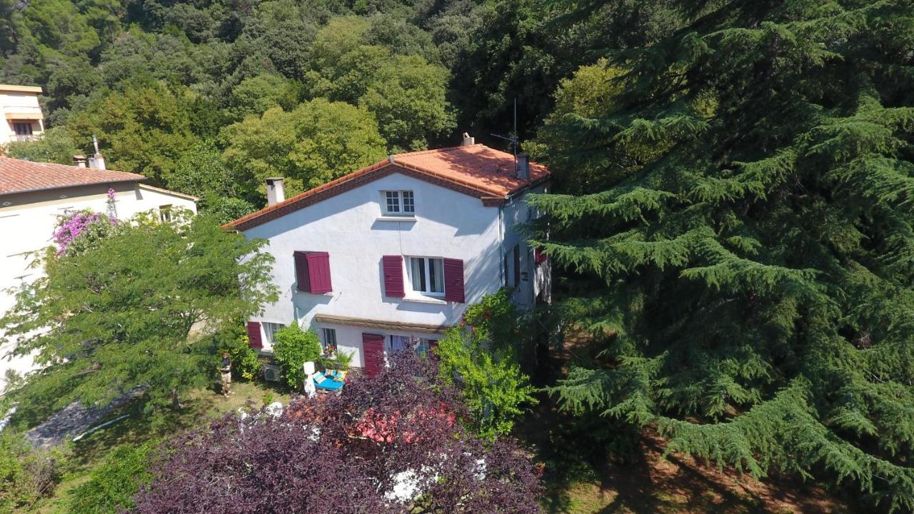 Villa Riviera Chambres dHôtes Amélie-les-Bains-Palalda Exterior foto