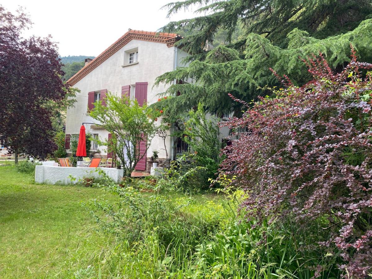 Villa Riviera Chambres dHôtes Amélie-les-Bains-Palalda Exterior foto